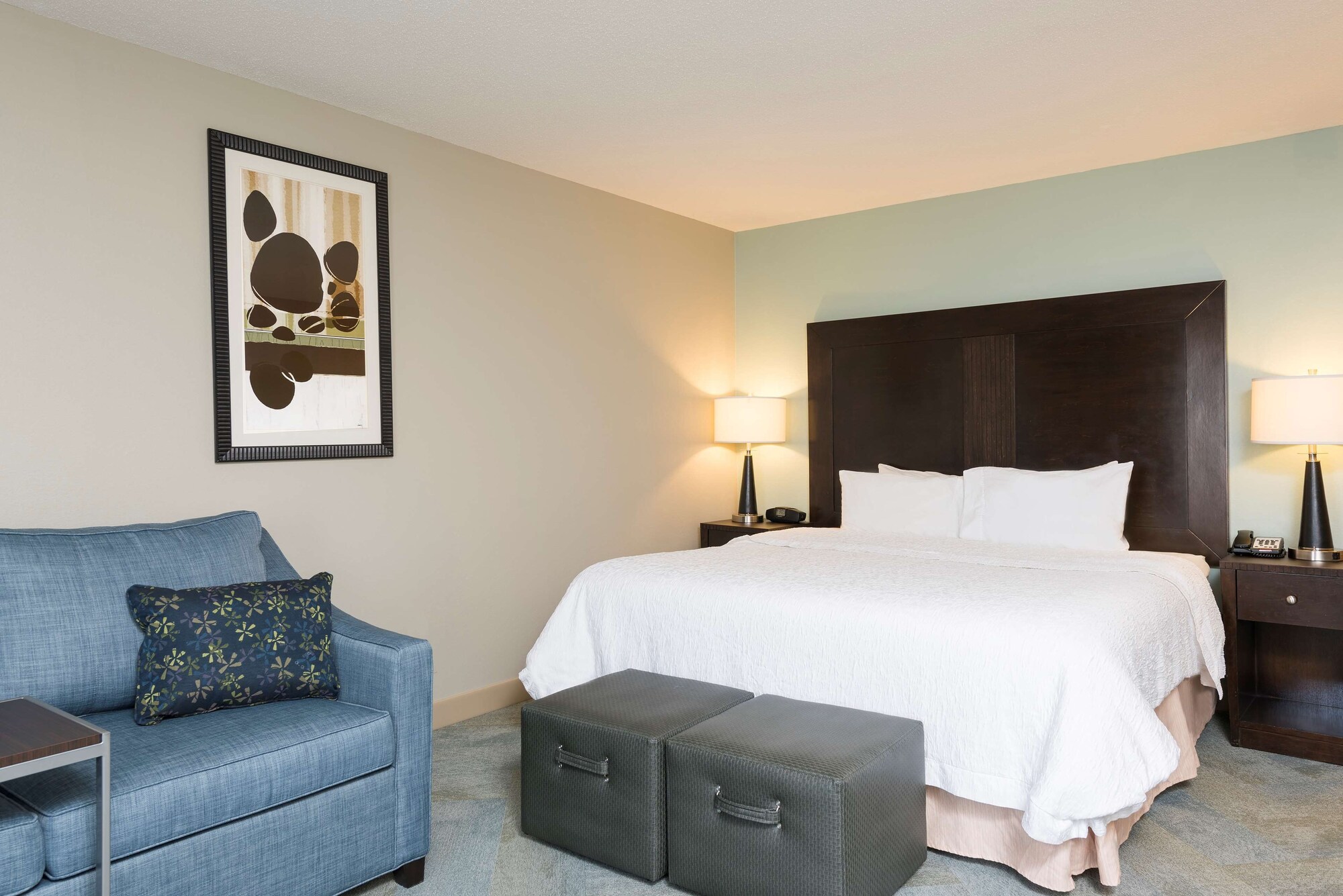 Room at Hampton Inn Detroit/Roseville, CLINTON TOWNSHIP - MI
