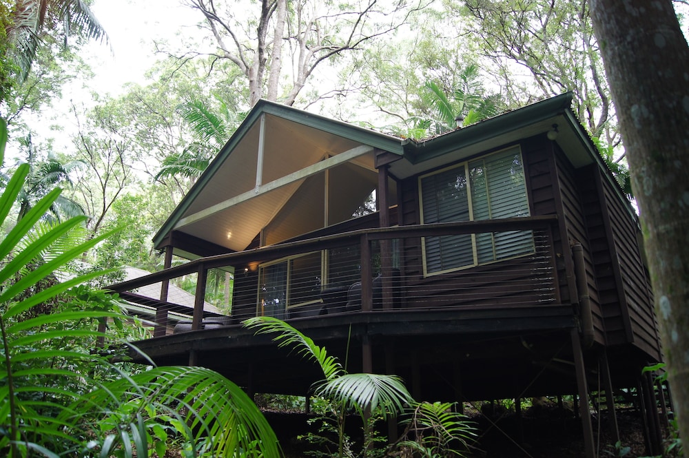 Songbirds Rainforest Retreat 1/50
