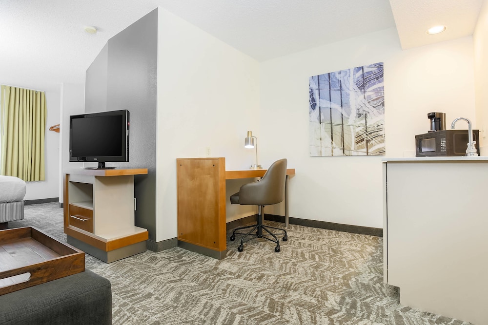 Springhill Suites By Marriott Houston Brookhollow 36/41