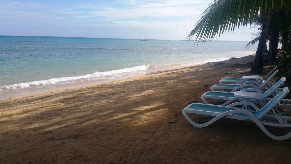 Aligio Aparthotel and Spa Playa Poppy 38/50