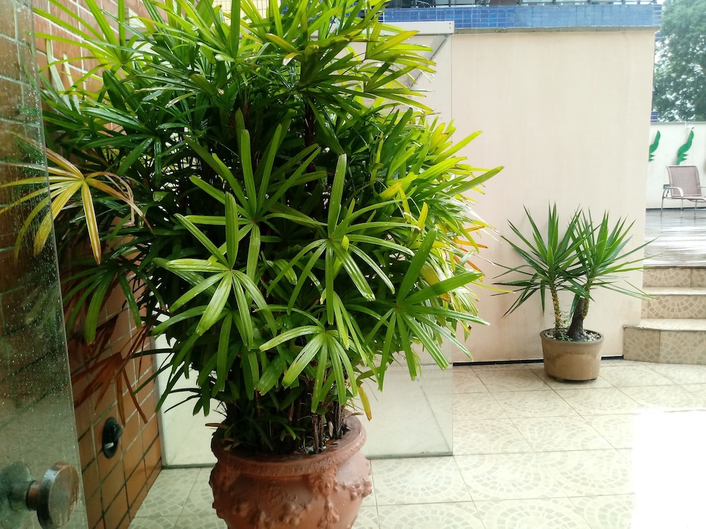 Spazzio Residence Hotel photo2