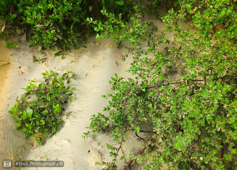 Sands Kalpitiya By GLN 23/42