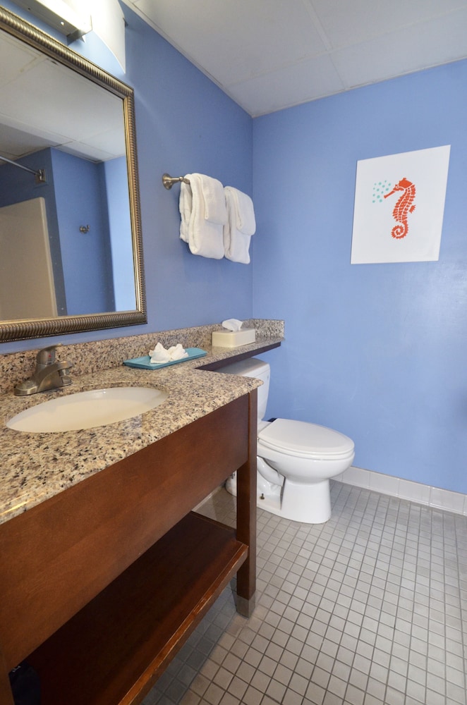 Cayman Suites Hotel 31/80