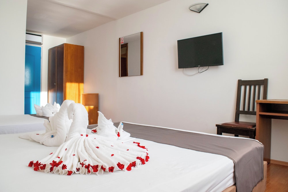 Beach Hotel Croatia 5/50