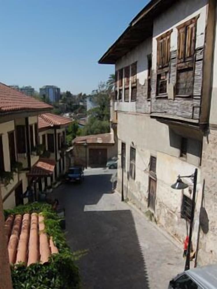 Villa Tulipan 43/50