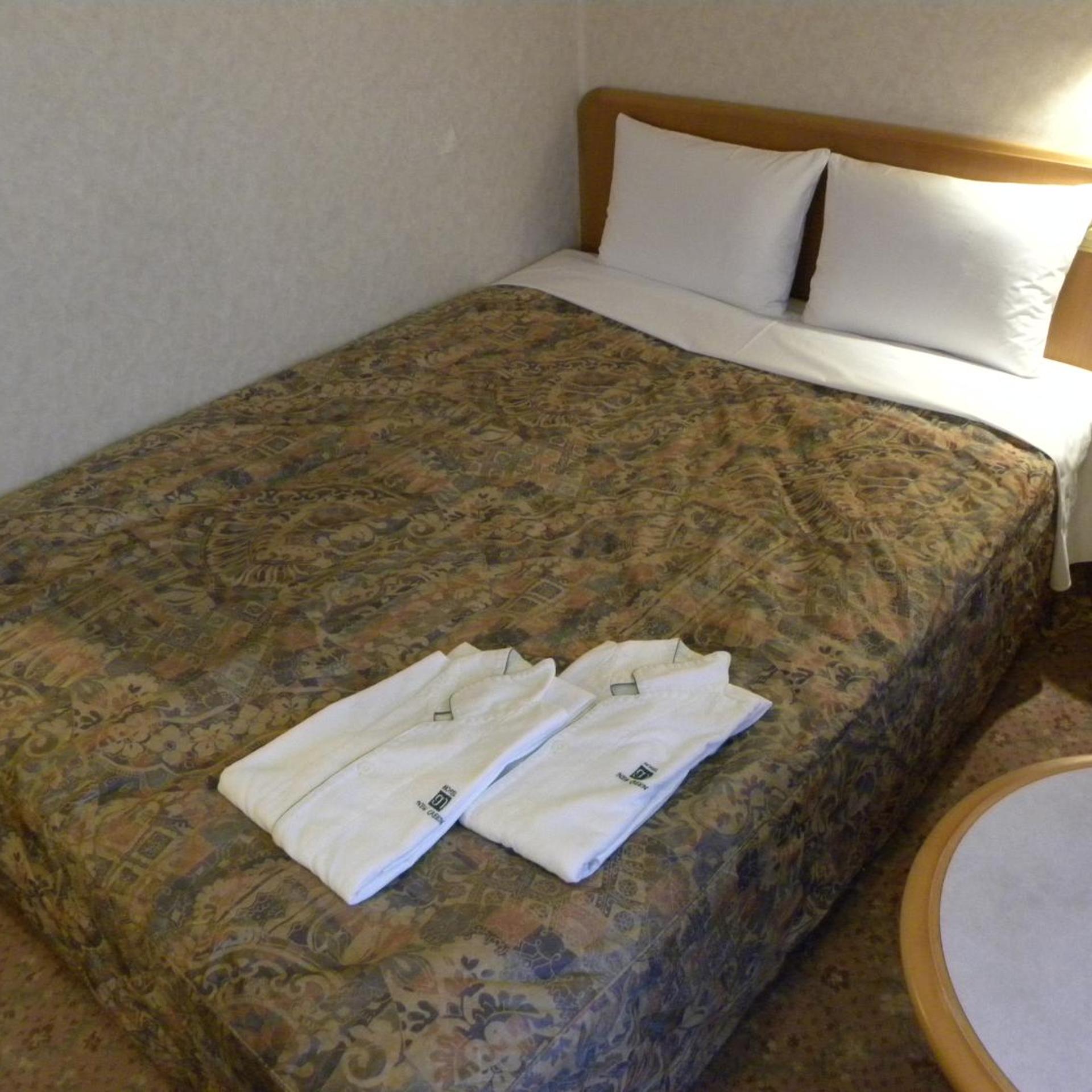 Hotel New Green Okachimachi 35/37