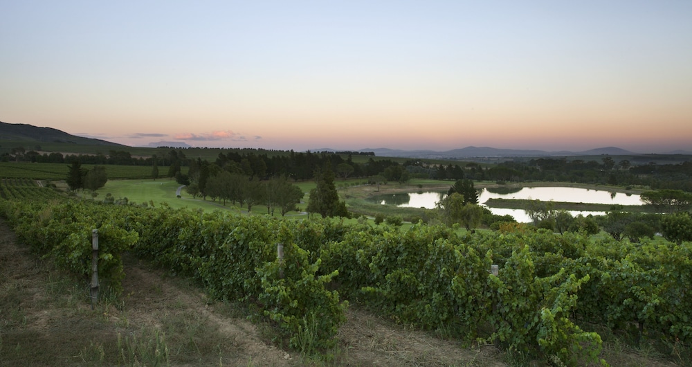 Devonvale Golf and Wine Estate 44/50