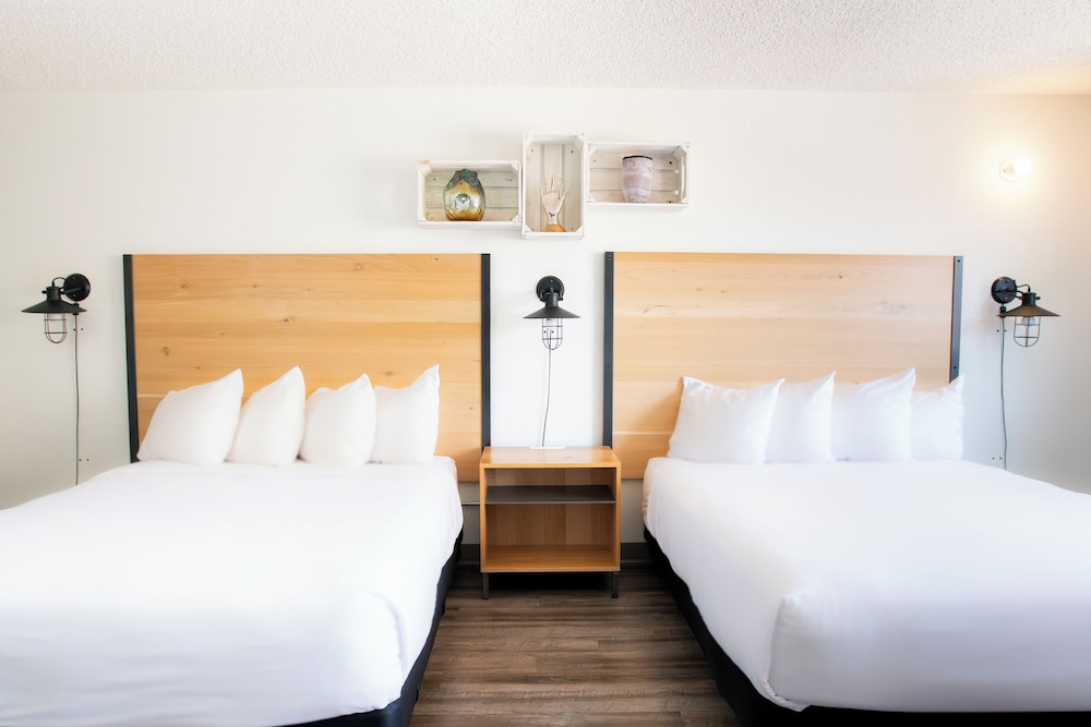 غرفة ديلوكس بسريرين كوين