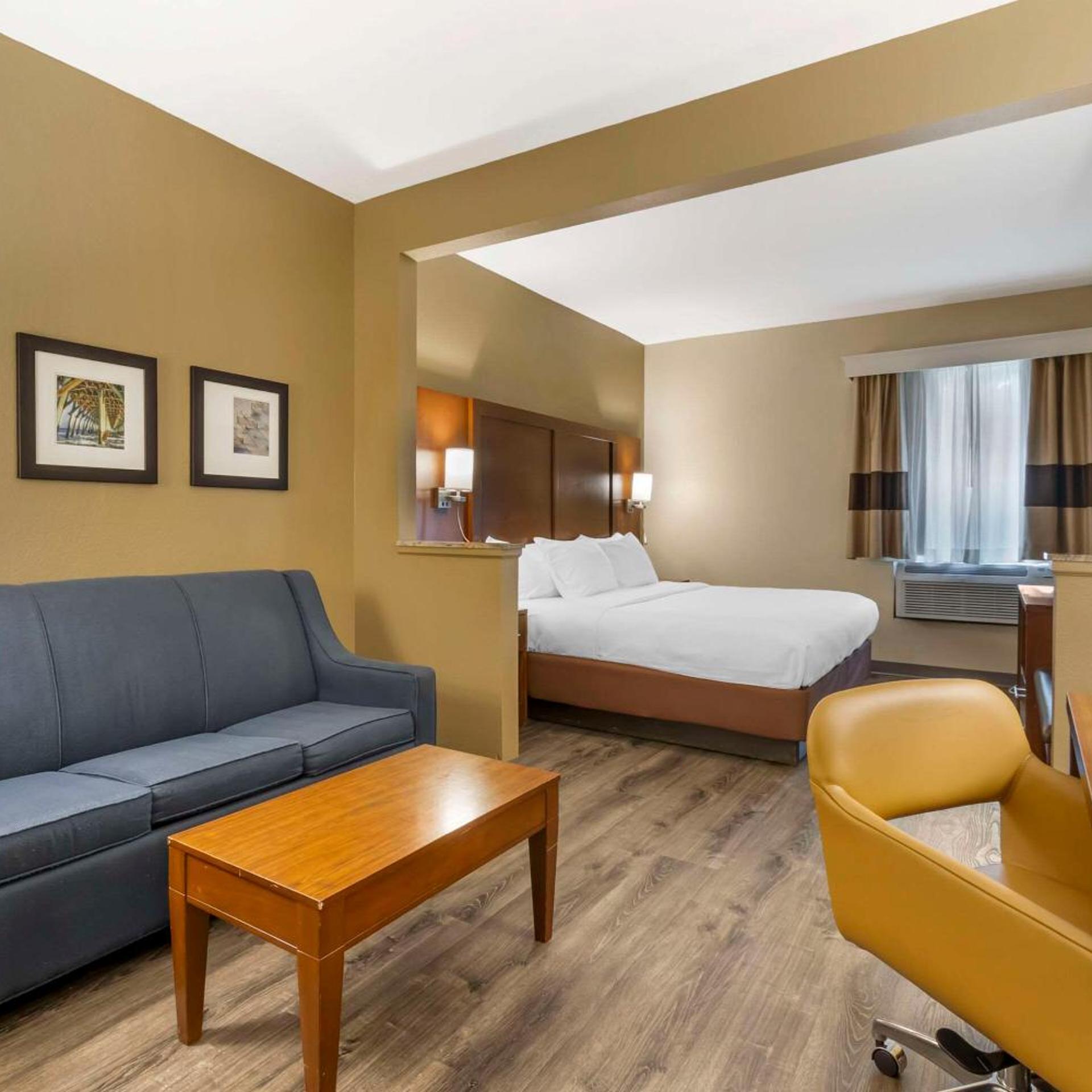 غرفة بسرير كينج لذوي الإعاقة، Comfort Suites At The University 7/9