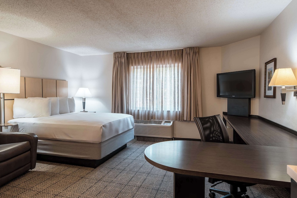 STUDIO, SUITE, QUEEN BED, ACCESSIBLE