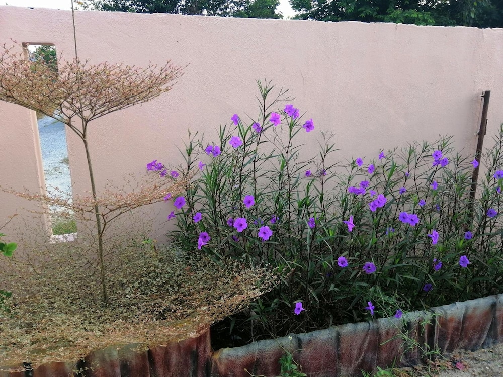 汽车旅馆Seri Mutiara(Motel Seri Mutiara) 图片3
