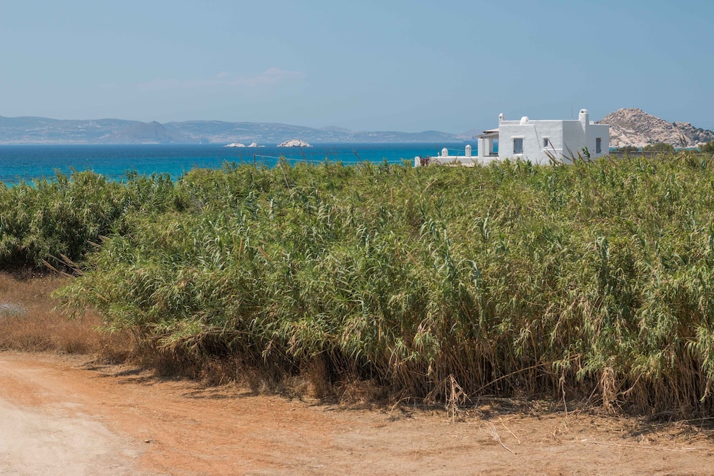 9 Muses Naxos 48/53