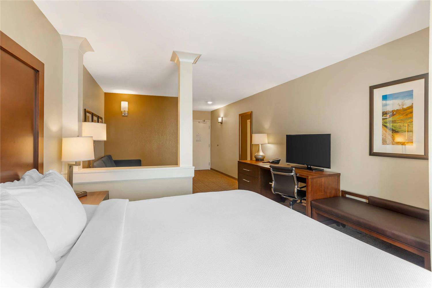 Efficiency, Suite, King Bed