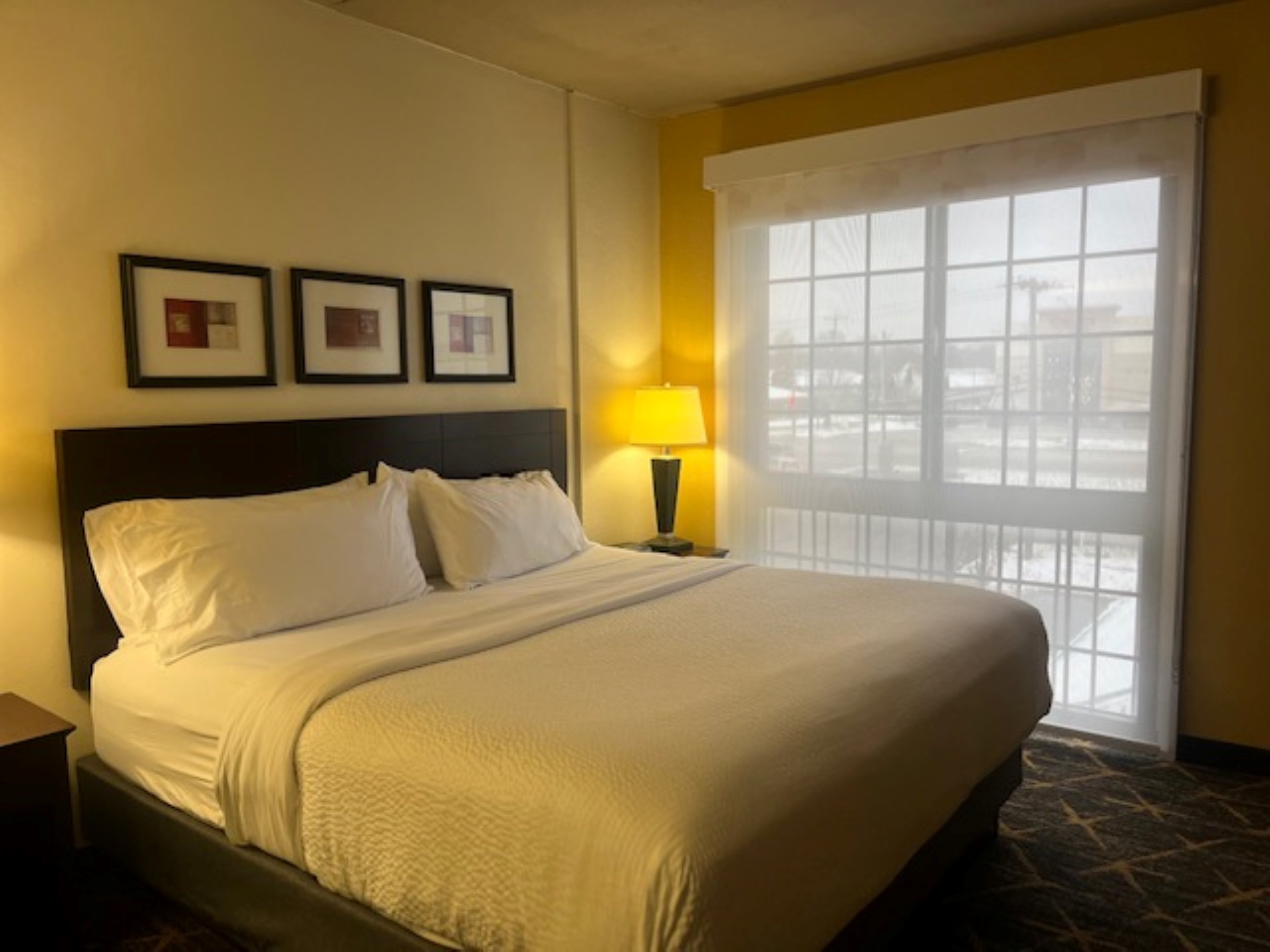 Holiday Inn Hotel And Suites Springfield I 44 20/77