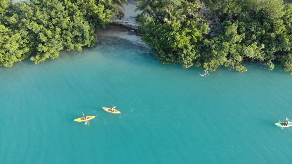Shaka Caye 33/50