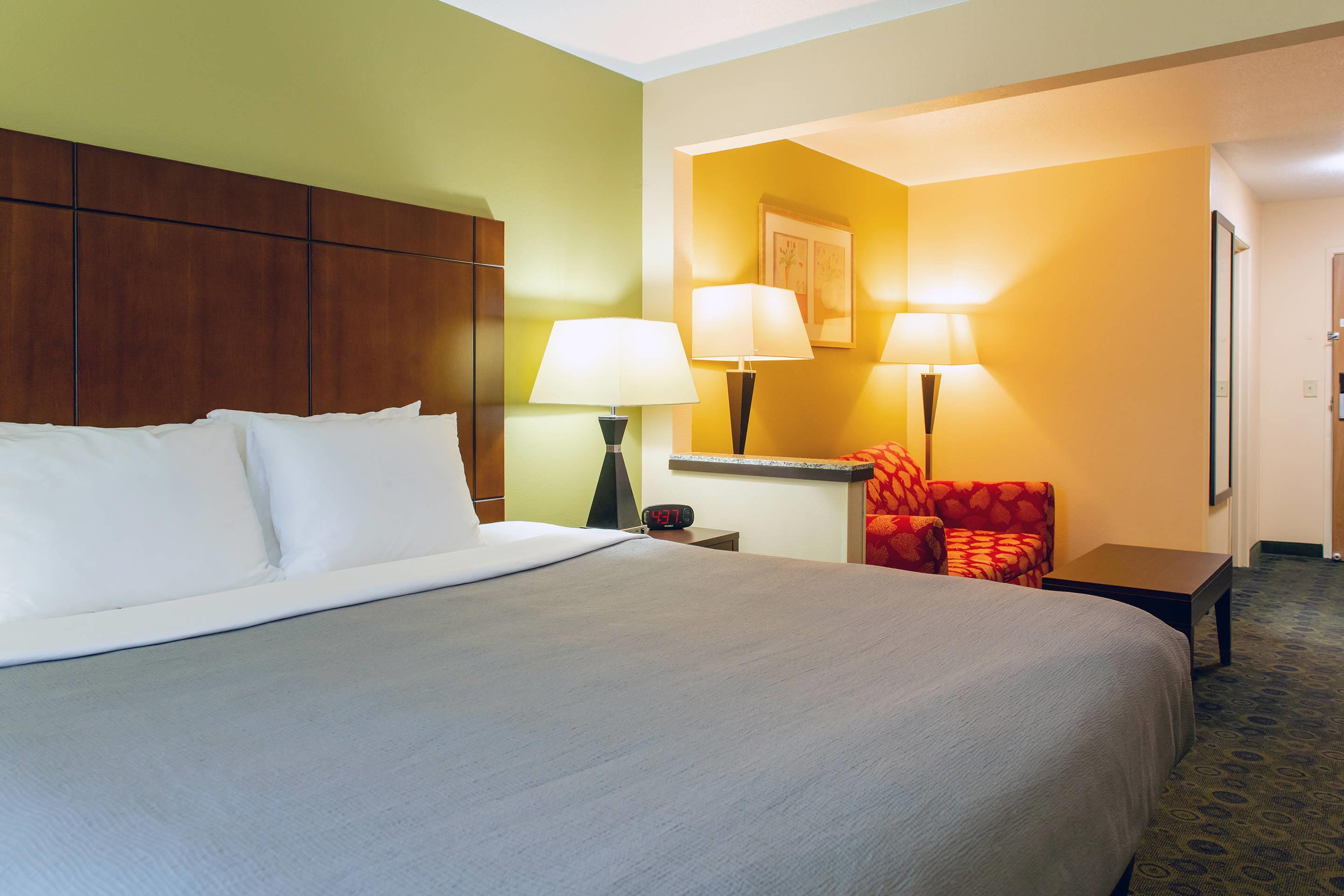 Efficiency, Suite, King Bed