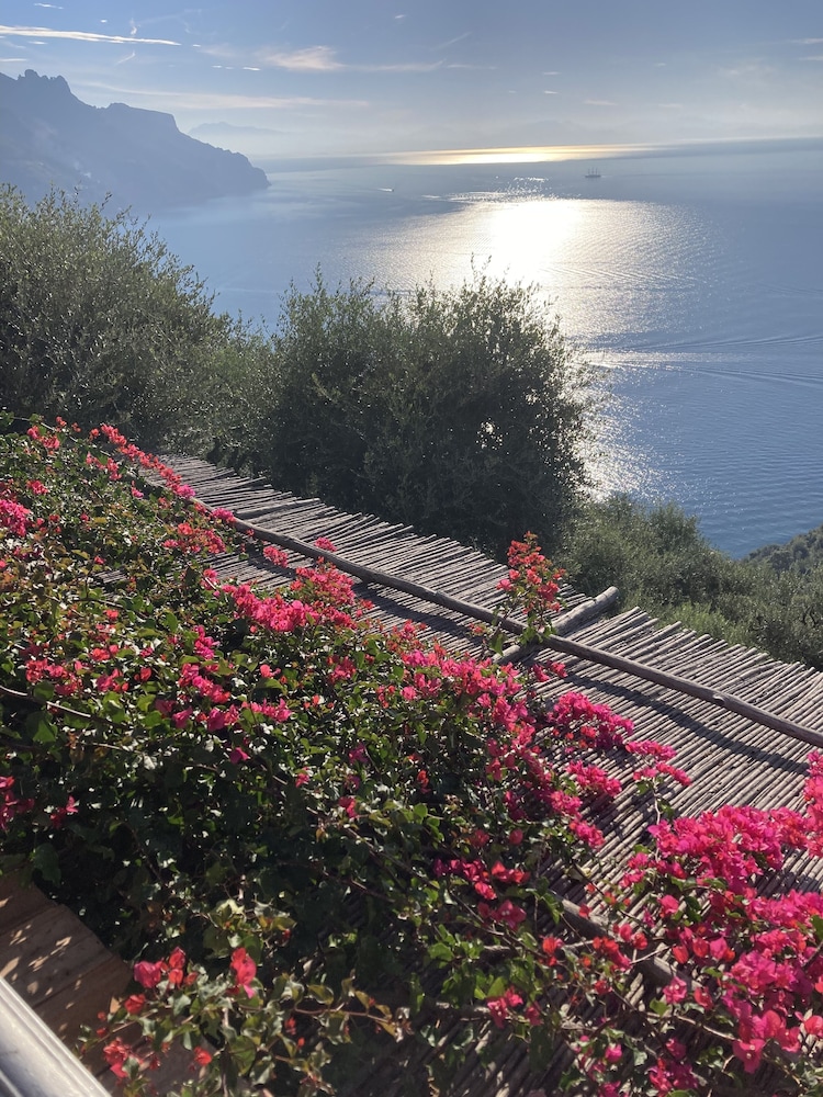 B&B I Limoni 27/50