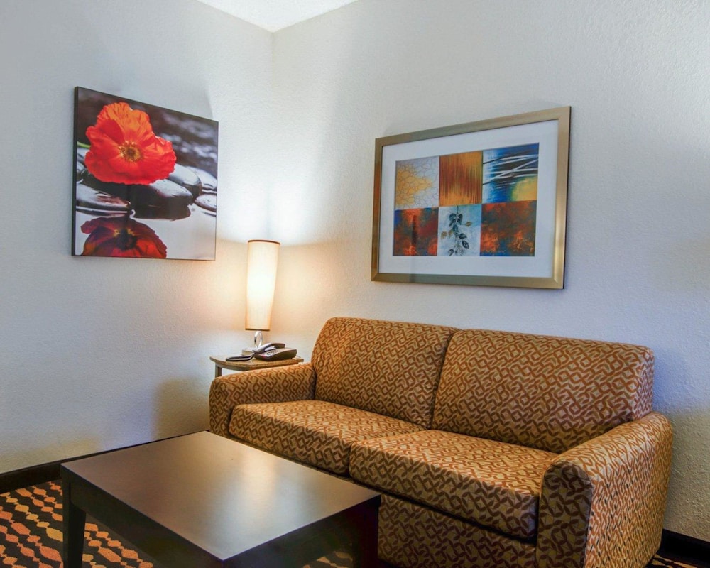 Comfort Suites Northside Hospital Gwinnett 33/47