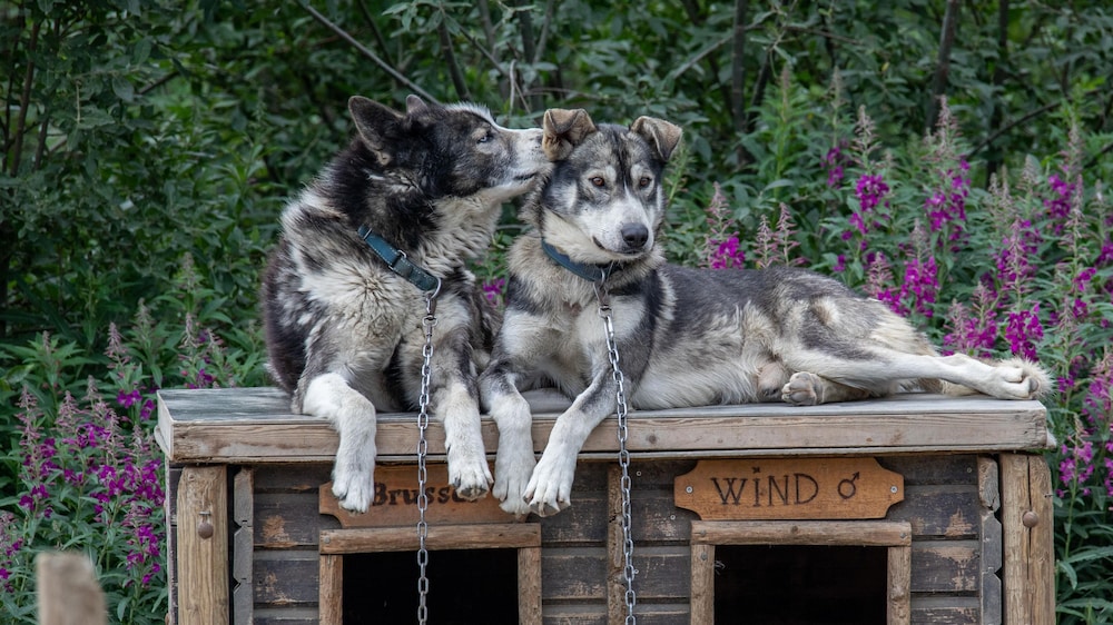 Snowhotel Kirkenes 6/49