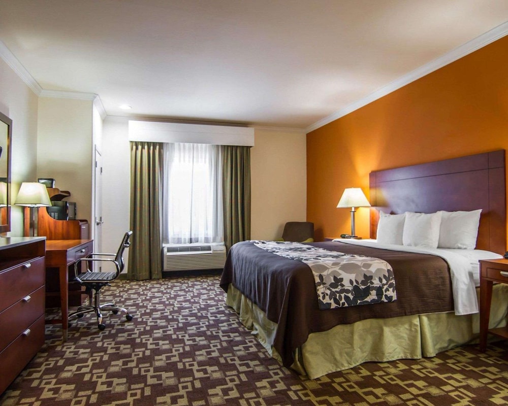Standard, King Bed, Sleep Inn Suites I 20 3/4