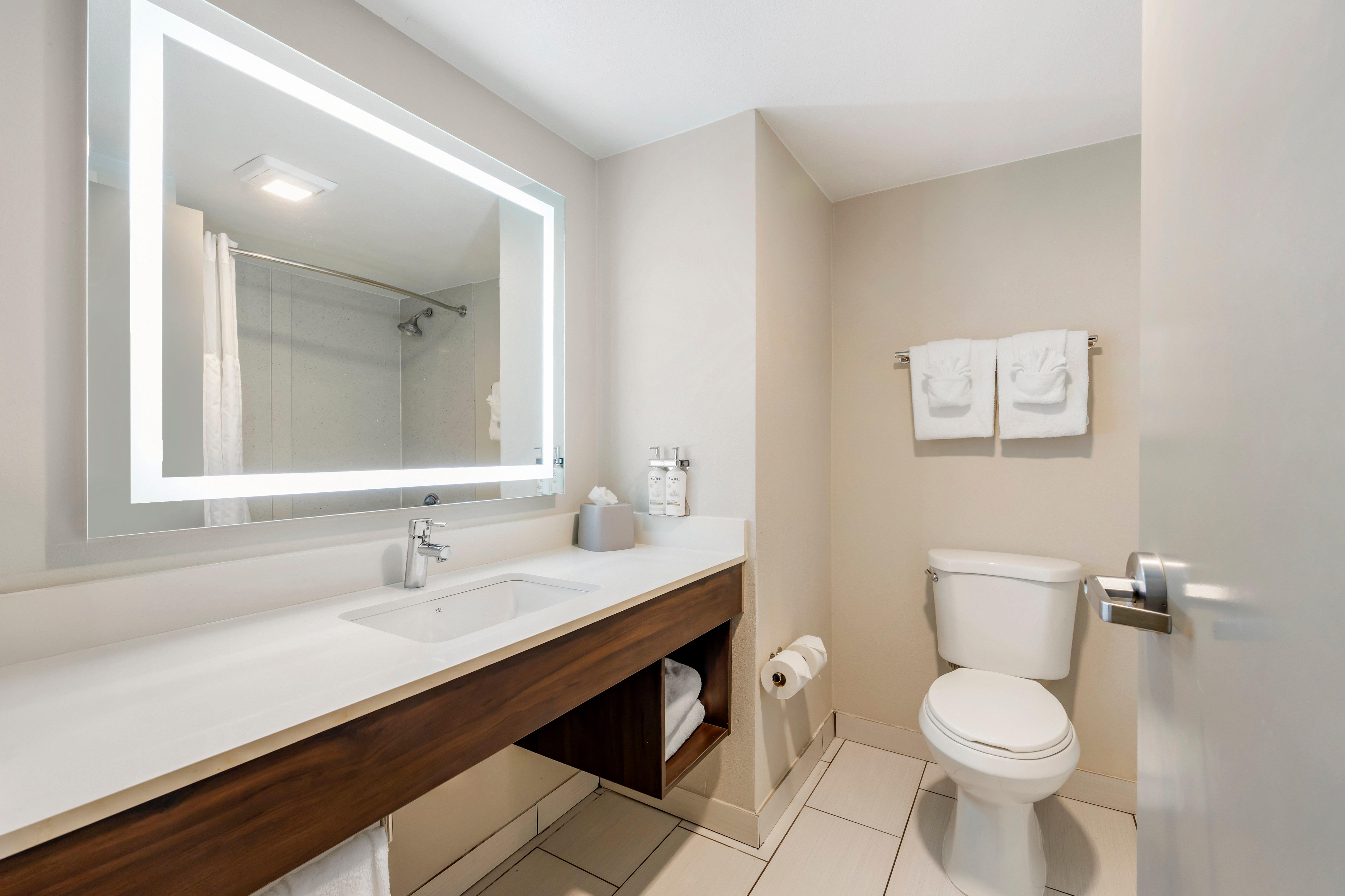 غرفة بسرير كينج لذوي الإعاقة، Holiday Inn Express & Suites NASHVILLE SOUTHEAST - ANTIOCH 3/3