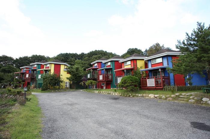 Muju Crayon Pension 11/11