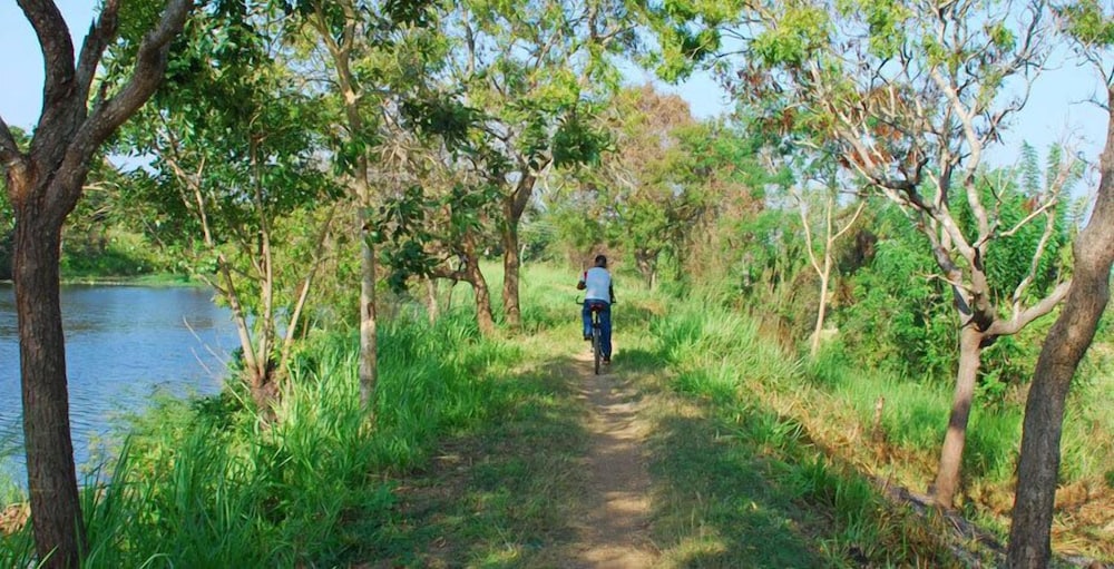 Jetwing Vil Uyana, A Luxury Reserve & Sigiriya 53/61