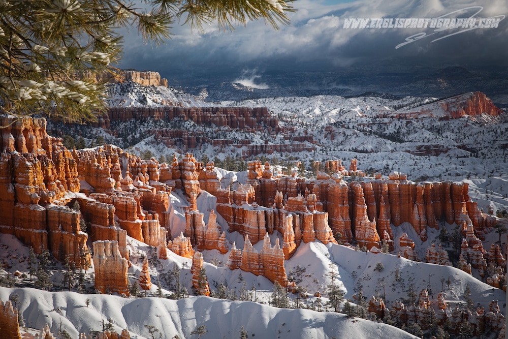Bryce Trails Bed and Breakfast، سيدار سيتي 35/50