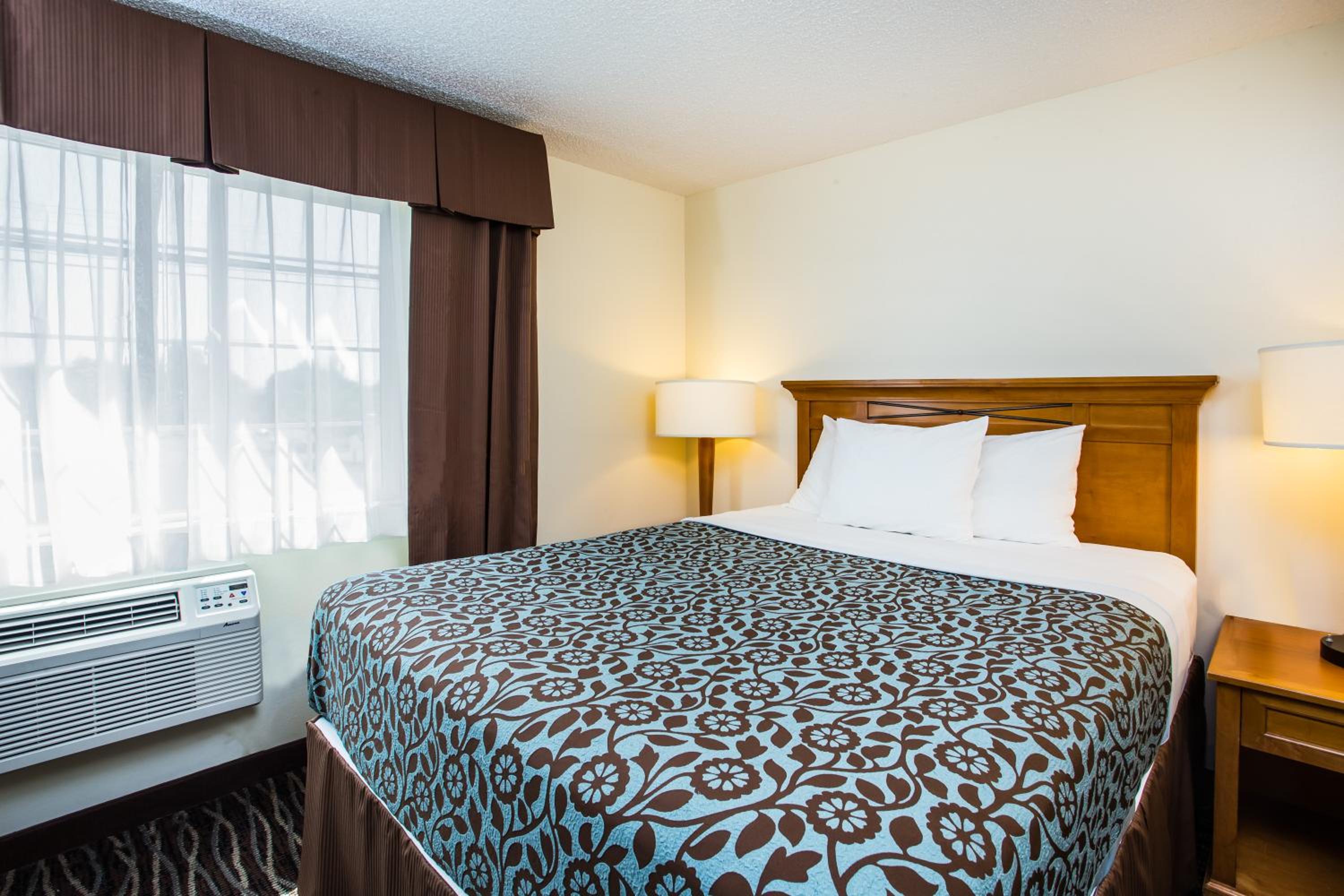 Suite, Queen Bed