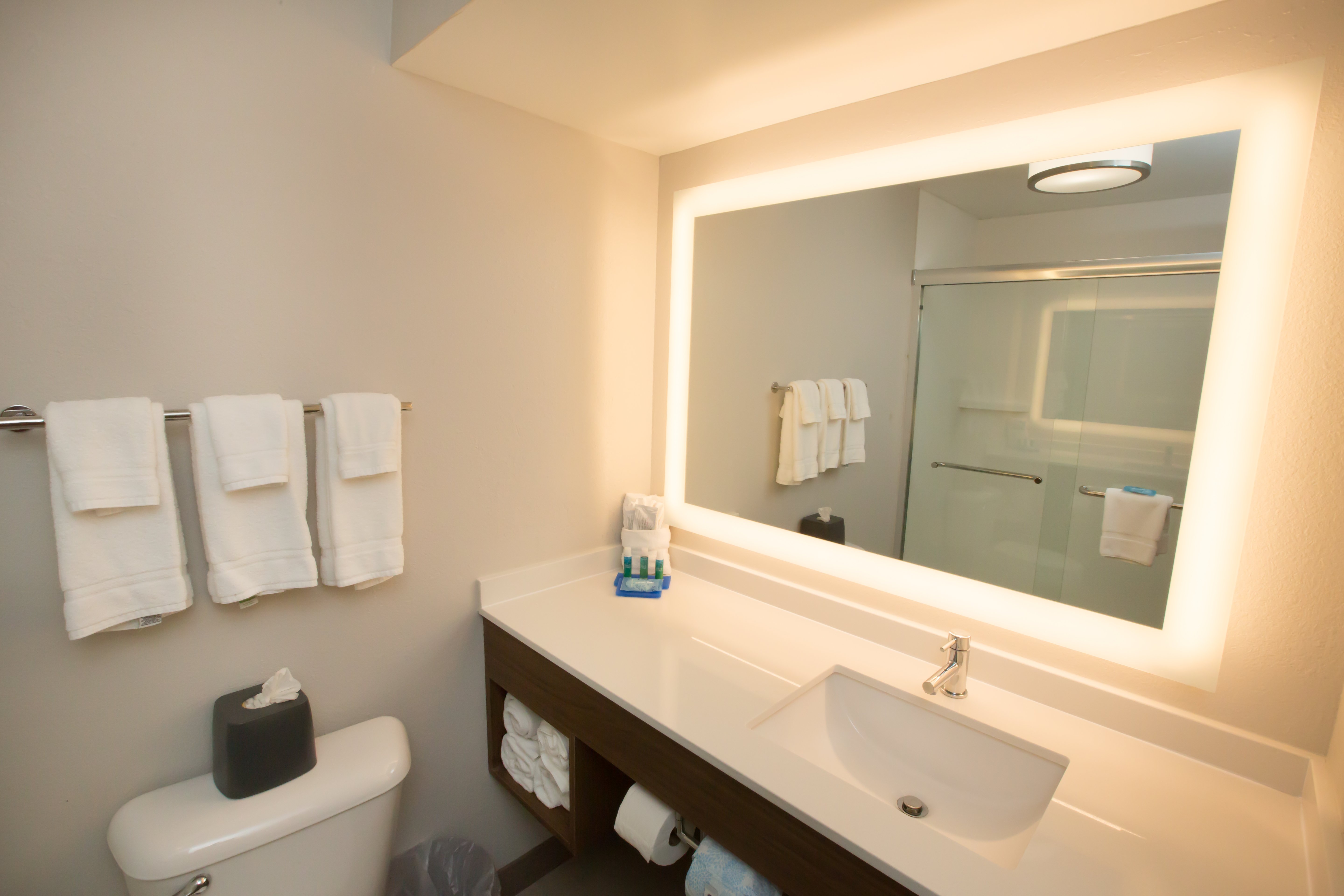 Holiday Inn Express Hotel & Suites Madison 58/60