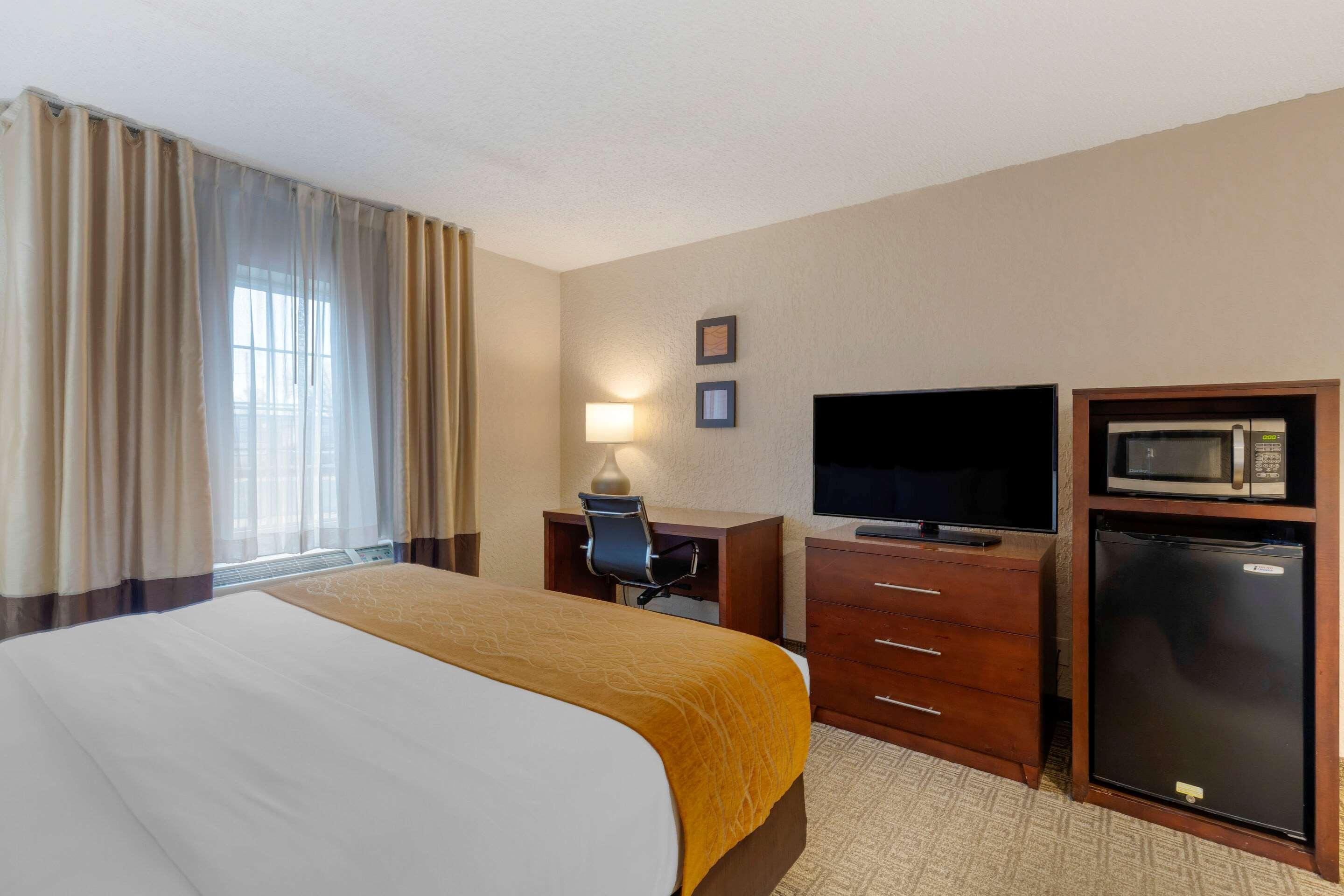 Room, King Bed