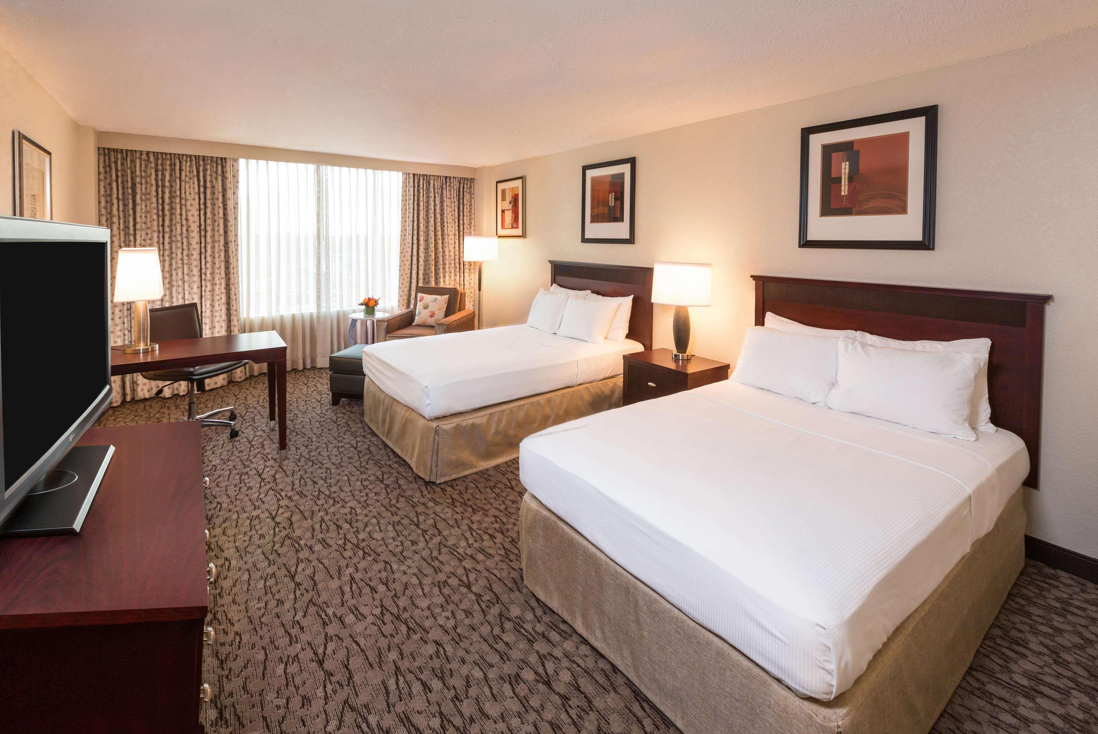 Room, 2 Double Beds, Executive Level