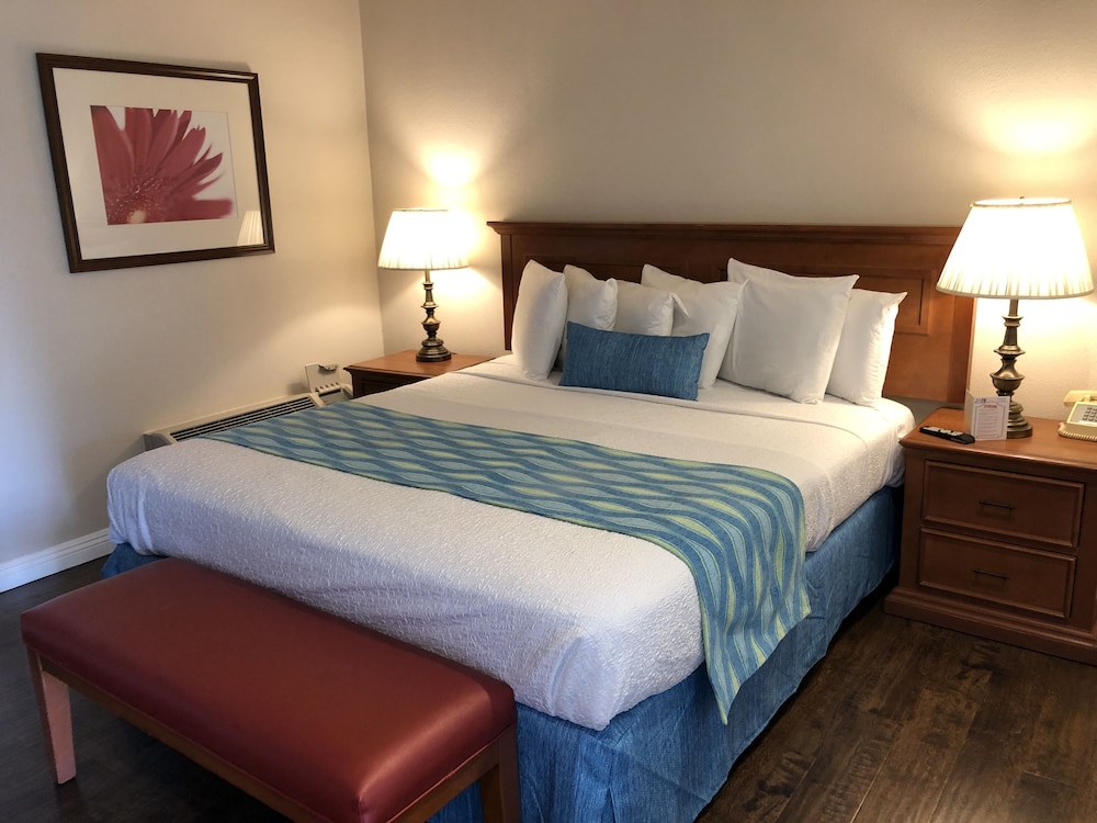 Alamo Inn Suites 20/61