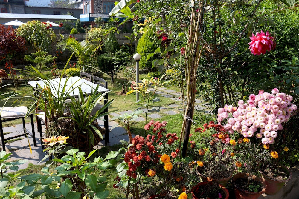 surroundings