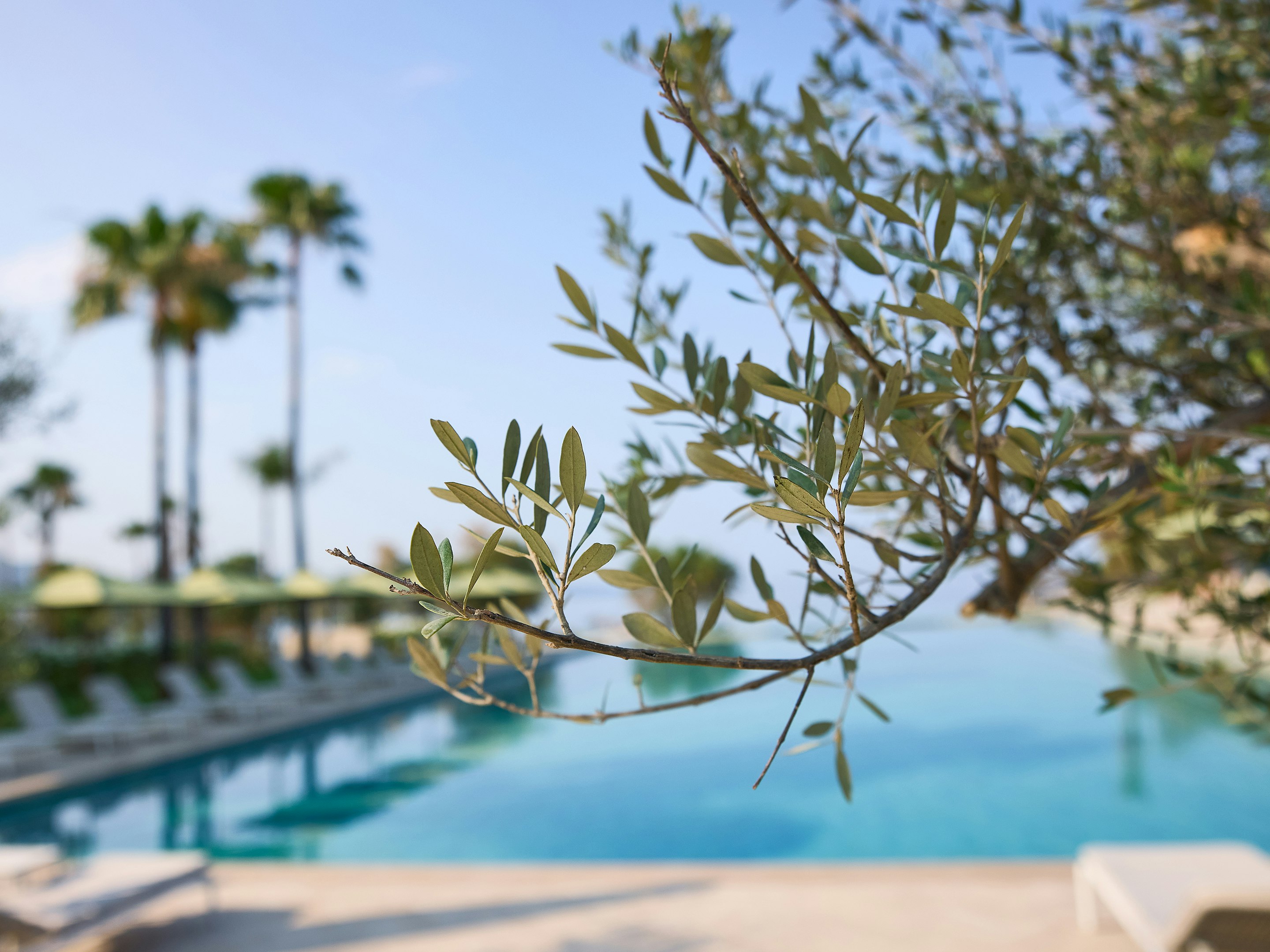 Grecotel Filoxenia Kalamata 71/80