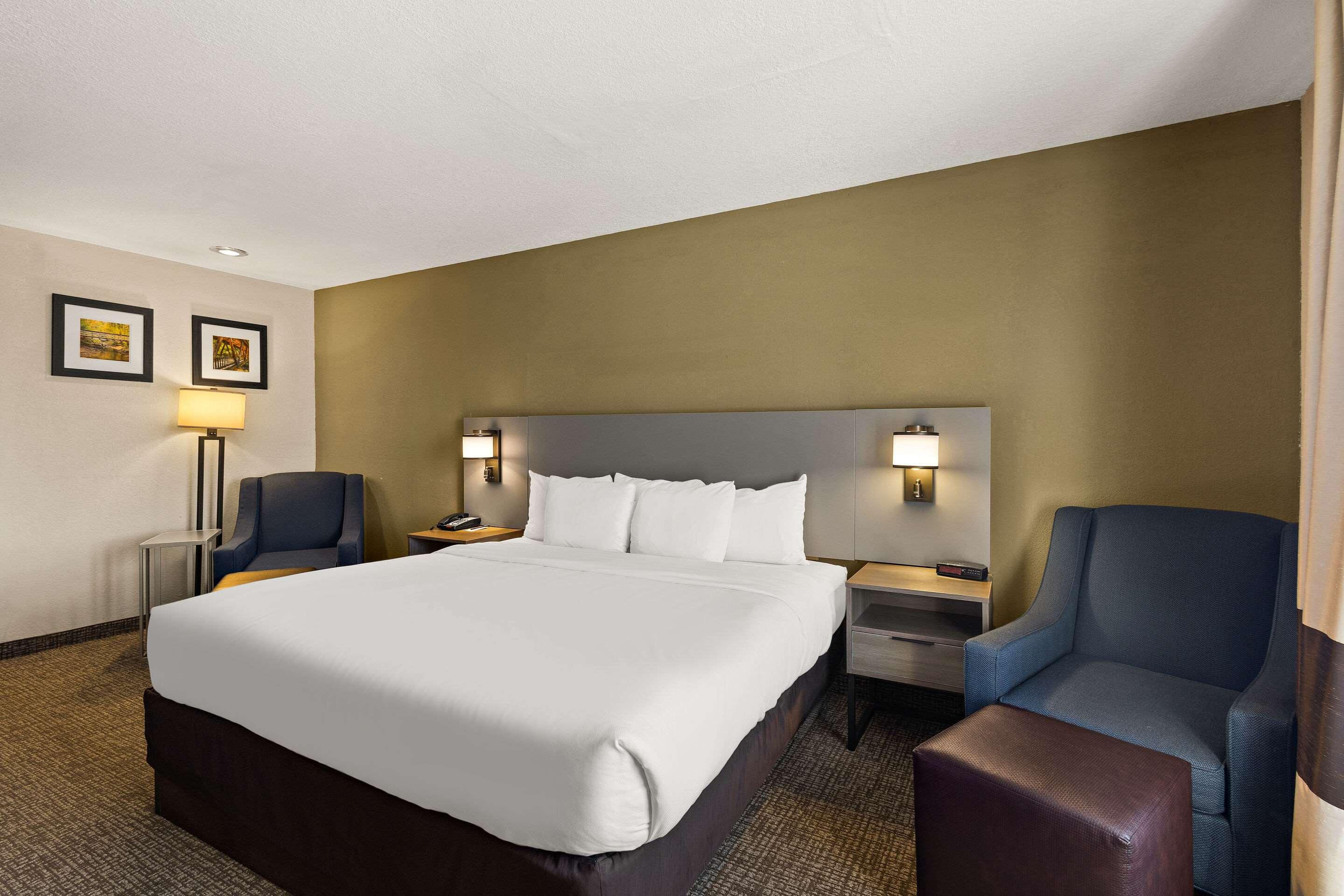Upgrade, Suite, King Bed