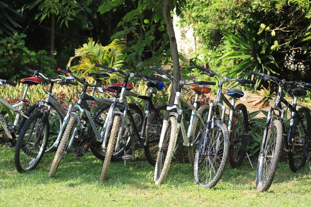 Punda Milias Camp Nakuru 22/50