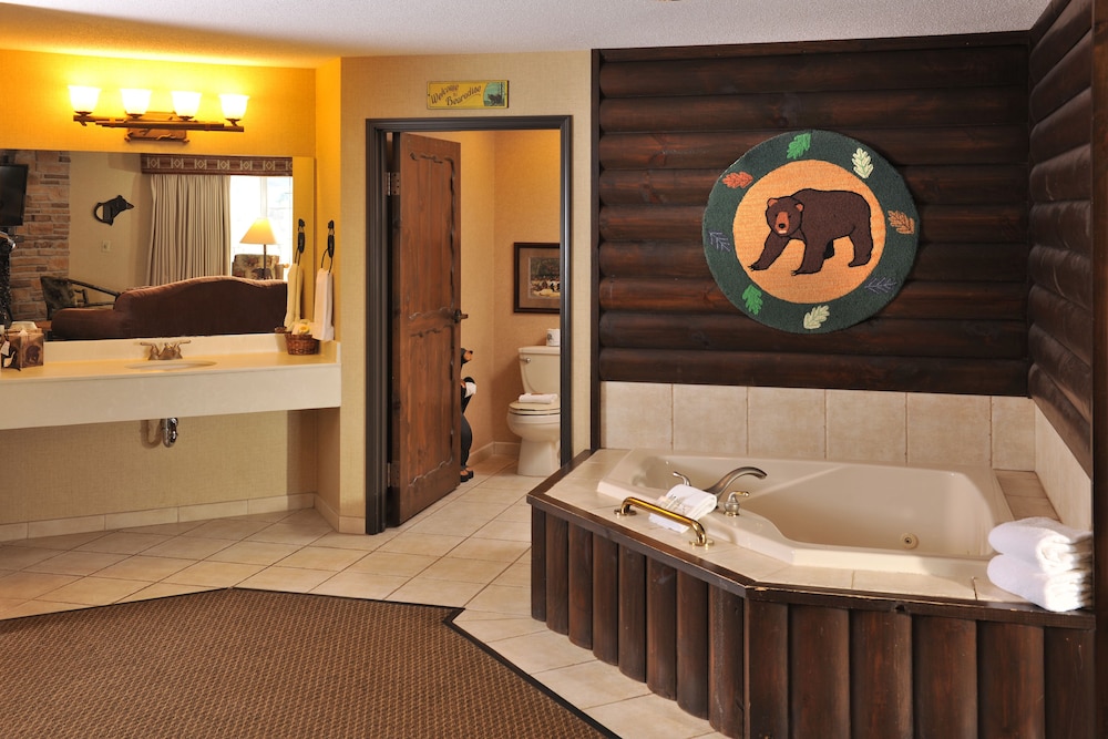 Stoney Creek Hotel La Crosse - Onalaska 6/43
