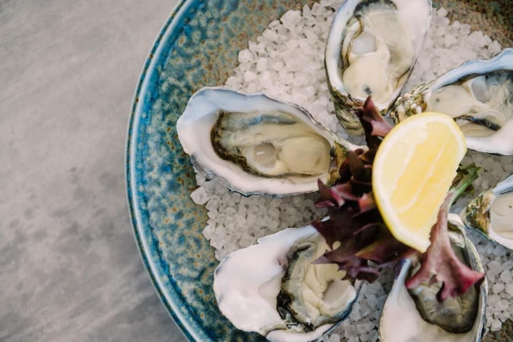 Eastcoaster Tasmania 28/75