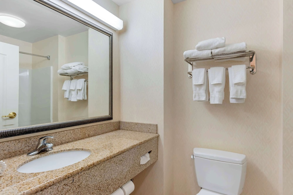 Comfort Inn & Suites Dover near Speedway 56/56