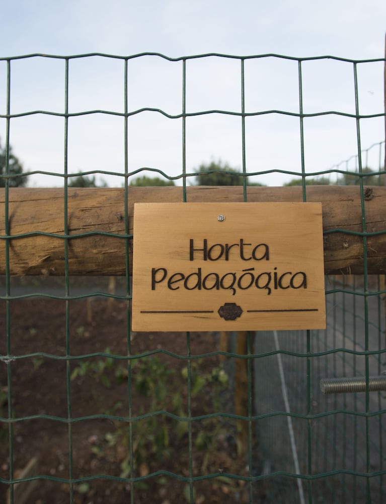 Vila Gale Alentejo Vineyard - Clube de Campo 3/48