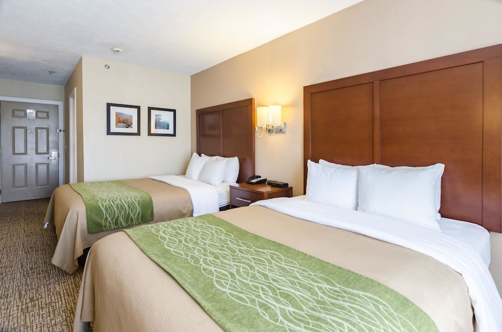 Comfort Inn Wytheville - Fort Chiswell 19/49