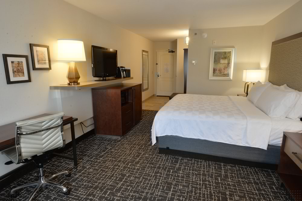 Holiday Inn Hotel Suites Minneapolis Lakeville 11/46