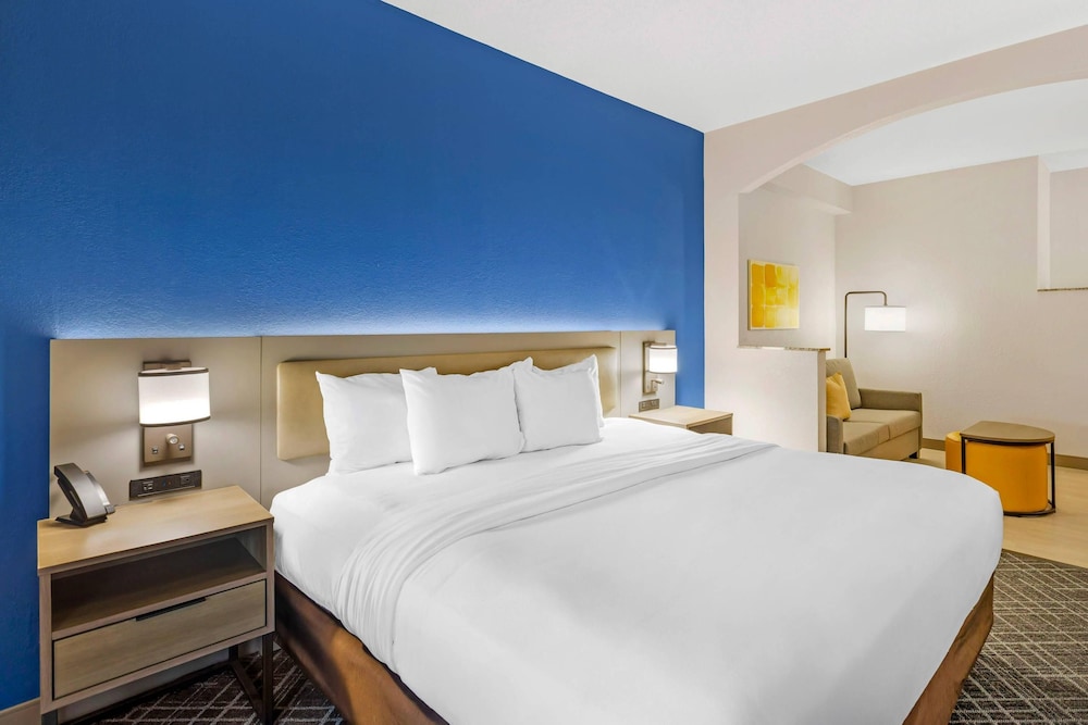Room, King Bed