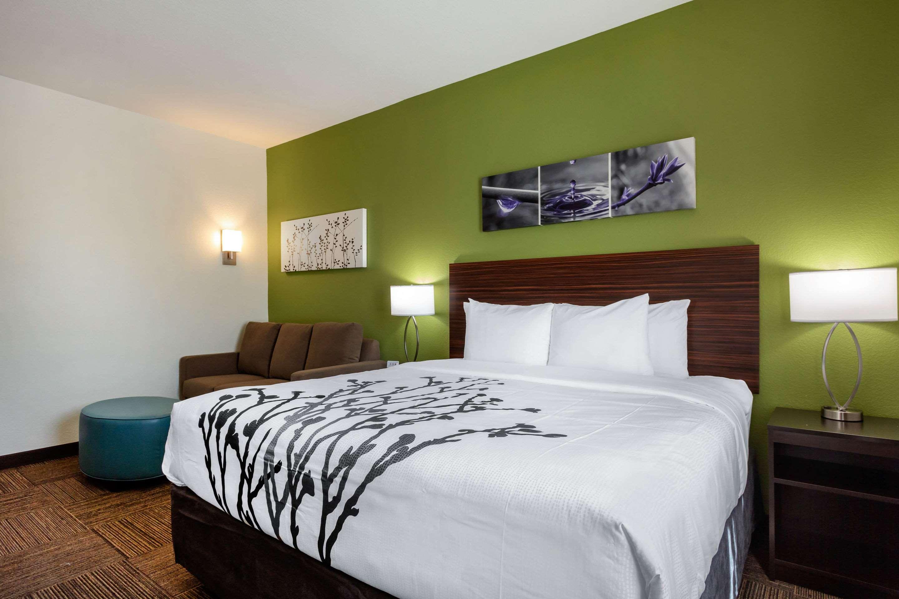 SUITE, KING BED