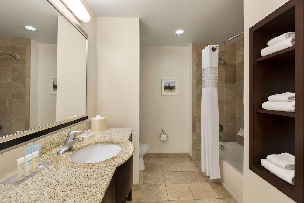 Hampton Inn And Suites Phoenix Glendale Westgate Az 20/65
