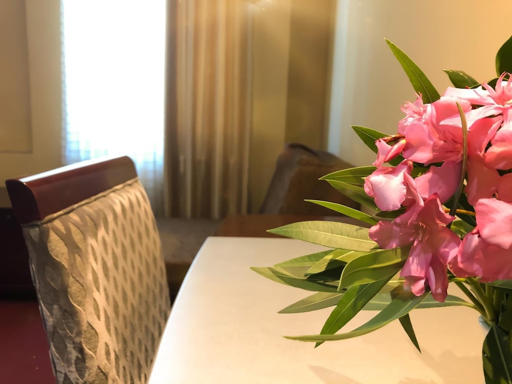 Kompleksi Arifi Hotel 29/50