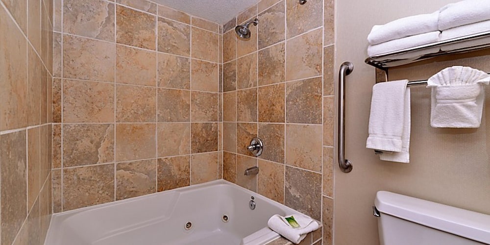 Holiday Inn Express And Suites Indianapolis W Airport Area 22/65