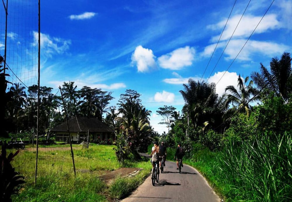 Arimba Resort Ubud 19/33