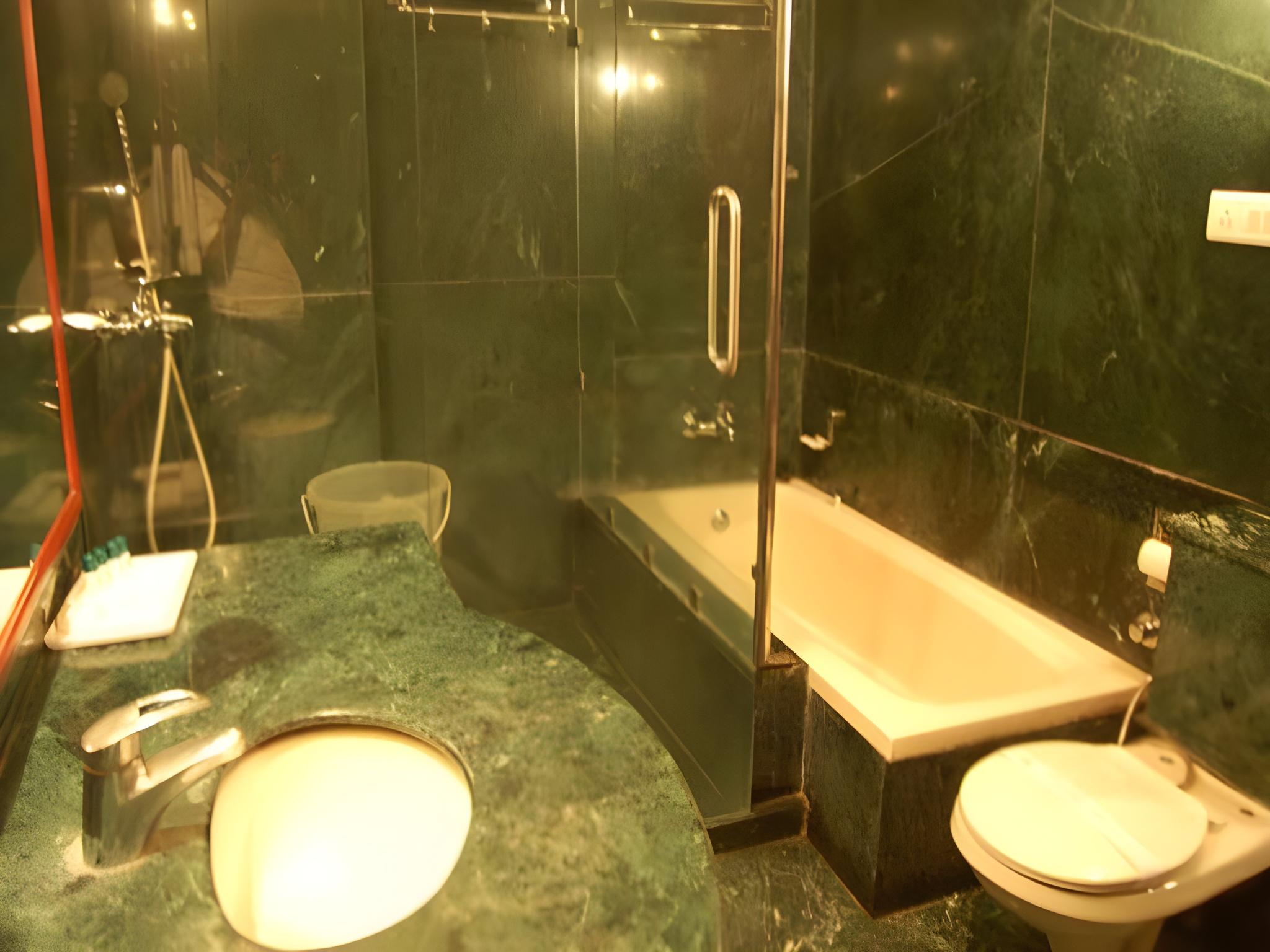 Hotel Diplomat Residency 46/46
